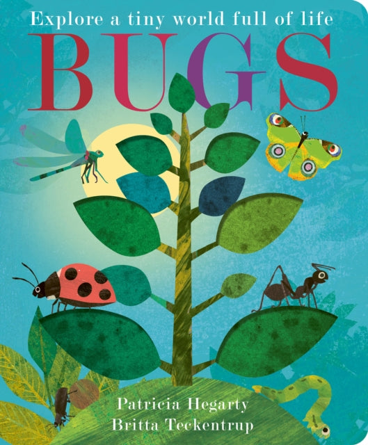 Bugs 9781801046305 Patricia Hegarty